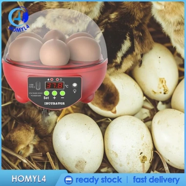 Máy ấp trứng tự động 6 quả - Kỹ thuật số, nhiệt độ ổn định, tiết kiệm năng lượng - 426.600 VND 6