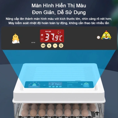Máy ấp trứng tự động thông minh - Hộp ấp nhỏ tại nhà, ấp gà, vịt, ngỗng, vẹt, bồ câu - Giá chỉ 739.000 VND 3