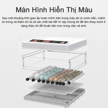Máy ấp trứng tự động thông minh - Hộp ấp nhỏ tại nhà, ấp gà, vịt, ngỗng, vẹt, bồ câu - Giá chỉ 739.000 VND 4