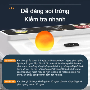 Máy ấp trứng tự động thông minh - Hộp ấp nhỏ tại nhà, ấp gà, vịt, ngỗng, vẹt, bồ câu - Giá chỉ 739.000 VND 5