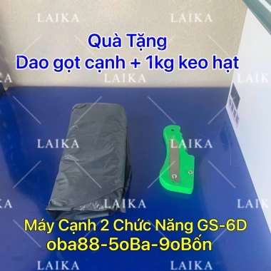 Máy dán cạnh GS-6D mẫu mới cải tiến dán cong tròn vát giảm giá 5,2 triệu 7