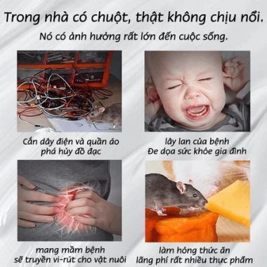 Máy Đuổi Chuột Siêu Âm Cao Cấp – Hiệu Quả, An Toàn Cho Gia Đình & Thú Cưng, 147.937₫ 4 Máy Đuổi Chuột Siêu Âm Cao Cấp – Hiệu Quả, An Toàn Cho Gia Đình & Thú Cưng, 147.937₫ 4