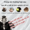 Máy Đuổi Chuột Siêu Âm Cao Cấp – Hiệu Quả, An Toàn Cho Gia Đình & Thú Cưng, 147.937₫ 5