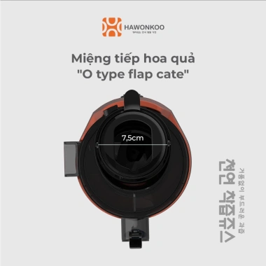 Máy ép chậm Hawonkoo SJH-002 200W dung tích 800ml - Bảo hành 24 tháng, giá sốc 1.799.000₫