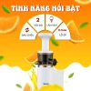 Máy Ép Chậm Mini Venko VS-M150 150W – Ép Trái Cây, Hoa Quả, Làm Kem, Kiệt Bã, Giá Ưu Đãi 750k 2