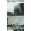 Máy film một lần 36 tấm ảnh màu Halfframe Happy Graduation Xanh Dương ISO 400 - Giá chỉ 495.000 VND 8