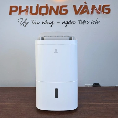 Máy hút ẩm Electrolux EDH10TRBW1 20L/ngày,