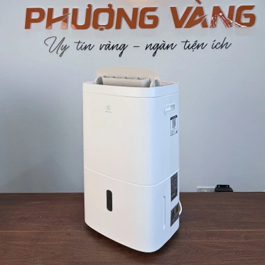 Máy hút ẩm Electrolux EDH10TRBW1 20L/ngày,