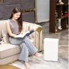 Máy hút ẩm Lumias D6S 12‑30‑60L kèm lọc không khí, điều khiển App, giảm giá 34% - BH18 7