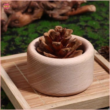 Máy khuếch tán gỗ N & X hình nón thông sáng tạo, hoa lâu trôi, dùng cho ô tô, văn phòng, nhà chỉ 52.250₫ 8 Máy khuếch tán gỗ N & X hình nón thông sáng tạo, hoa lâu trôi, dùng cho ô tô, văn phòng, nhà chỉ 52.250₫ 8