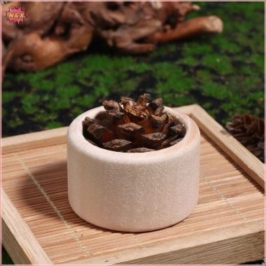 Máy khuếch tán gỗ N & X hình nón thông sáng tạo, hoa lâu trôi, dùng cho ô tô, văn phòng, nhà chỉ 52.250₫ 9 Máy khuếch tán gỗ N & X hình nón thông sáng tạo, hoa lâu trôi, dùng cho ô tô, văn phòng, nhà chỉ 52.250₫ 9
