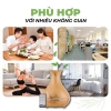 Máy Khuếch Tán Tinh Dầu Tulip Cao Cấp Remote và Tặng 10ml Dầu Sả Giá ưu đãi 220.000 VND 5