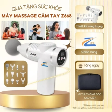 Máy massage cầm tay Z668 - Súng matxa xoa bóp trị liệu, đấm lưng, giá 219.000₫