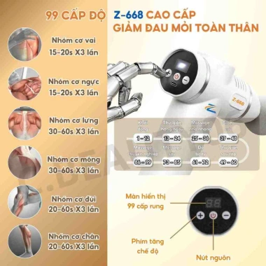 Máy massage cầm tay Z668 - Súng matxa xoa bóp trị liệu, đấm lưng, giá 219.000₫