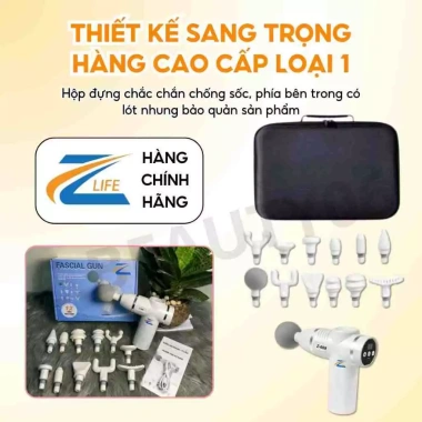 Máy massage cầm tay Z668 - Súng matxa xoa bóp trị liệu, đấm lưng, giá 219.000₫
