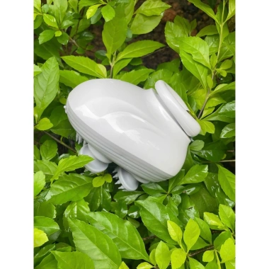 Máy Massage Đầu Mini 3 chế độ xoay 360 độ, chống nước, cầm tay - 259.000₫ 9 Máy Massage Đầu Mini 3 chế độ xoay 360 độ, chống nước, cầm tay - 259.000₫ 9