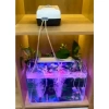 Máy sủi oxy JEBO 9.970 tích điện 35h - 2 vòi, 2 dây, quả sủi, giảm giá 695.000đ 2