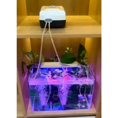 Máy sủi oxy JEBO 9.970 tích điện 35h - 2 vòi, 2 dây, quả sủi, giảm giá 695.000đ 2