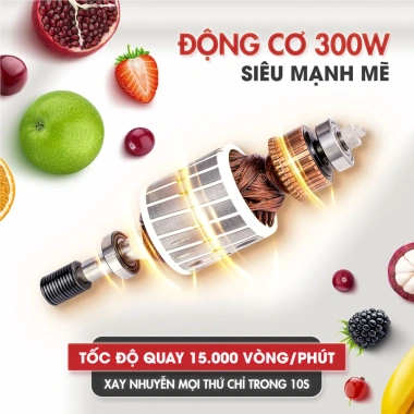 Máy Xay Sinh Tố Đa Năng Masuto Blender Healthy Eat Clean Mua 1 Tặng 1 Giá 799.000đ
