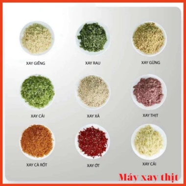 Máy xay thịt mini đa năng 2L - Xay tỏi ớt, sinh tố, nước ép, giá chỉ 197.000đ