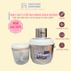 Máy xay thịt Seka 500W 2L cối thủy tinh - Xay thịt, tỏi, rau củ đa năng, giá ưu đãi 367.5k
