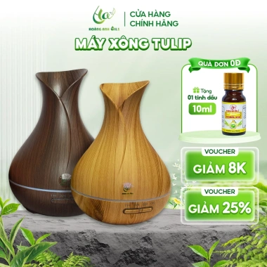 Máy Xông Tinh Dầu Tulip Hoàng Anh Vàng Đen Phòng Ngủ, Phòng Khách, Giá 344.000đ