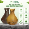 Máy Xông Tinh Dầu Tulip Hoàng Anh Vàng Đen Phòng Ngủ, Phòng Khách, Giá 344.000đ 3