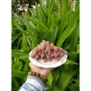Me Xí Muội Thái Lan 500g - Muối Ớt Chua Cay, Thịt Dày Chuẩn Vị, Giá 81.000đ 8