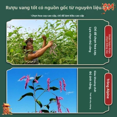 Men lá ngọt ủ rượu nếp cẩm Điện Biên – Giá ưu đãi 30.000₫, hương vị truyền thống, chất lượng cao 2