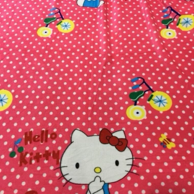 Mền lông tuyết 1.6x2m đa màu sắc, chăn hình thú dễ thương - Giá 72k giảm còn 60k 4