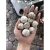 Men Ngọt 15k - Nguyên liệu làm cơm rượu nếp cái, cẩm, rượu vắt và bánh bò, giảm giá