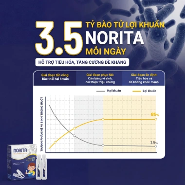 Men Vi Sinh NORITA Bổ Sung Bào Tử Lợi Khuẩn Cho Trẻ Biếng Ăn Táo Bón Tiêu Hóa Kém - 15 Ống 270.000 VND 3 Men Vi Sinh NORITA Bổ Sung Bào Tử Lợi Khuẩn Cho Trẻ Biếng Ăn Táo Bón Tiêu Hóa Kém - 15 Ống 270.000 VND 3