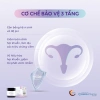Men vi sinh phụ nữ Lactobact Intima 60 viên nhập khẩu Đức - bổ sung lợi khuẩn, D-Mannose hỗ trợ sức khỏe tiết niệu 3