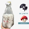 Meo giống nấm hắc chi 500gr - Nấm linh chi đen 3C FARM, giảm còn 75.000₫
