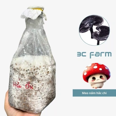 Meo giống nấm hắc chi 500gr - Nấm linh chi đen 3C FARM, giảm còn 75.000₫