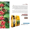 METRANG Cà phê Chồn 500g - Hạt rang Weasel thơm ngon, giá ưu đãi 329.000₫ 2