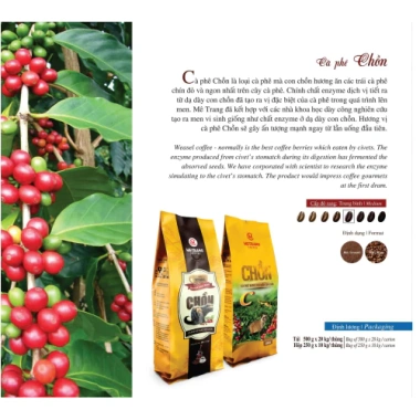 METRANG Cà phê Chồn 500g - Hạt rang Weasel thơm ngon, giá ưu đãi 329.000₫ 2