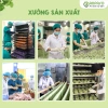 Mì ăn dặm Anpaso vị rau củ - Mì cải bó xôi hữu cơ 120g, giảm giá 37.000đ 7