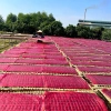 Mì Chũ Rau Củ Hữu Cơ Ngũ Sắc Dậu Anh Loại 1 Xuất Khẩu - Quà Tặng 500g Giá Sỉ 60.000 VND 8