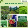 Mì rau củ ăn dặm Organic Anpaso không chiên dầu, giàu chất xơ bé 6 tháng - 55.380 VND 5