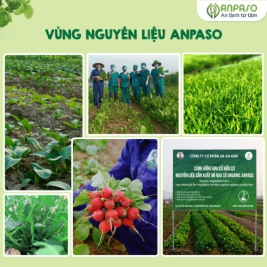 Mì rau củ ăn dặm Organic Anpaso không chiên dầu, giàu chất xơ bé 6 tháng - 55.380 VND