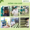 Mì rau củ ăn dặm Organic Anpaso không chiên dầu, giàu chất xơ bé 6 tháng - 55.380 VND 7