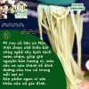 Mì rau củ hữu cơ sấy lạnh Mộc Việt 300gr - Giảm cân, ăn kiêng, tiểu đường, chỉ 69.600đ 8