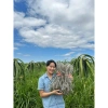 Miến Dong Sợi Nhỏ & To, Ngon Không Bở Nát, Từ Bột Củ Dong Riềng - 79.000₫ 6