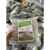 Miến Dong Thái Tay Sợi To Điện Biên 1kg - Giá 83.000đ, Giảm mạnh, Ngon, Dễ nấu 6