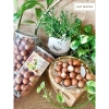Miễn Ship 1Kg Hạt Macca Đăk Lăk Sấy Chín Nứt Vỏ Size Đại – Dinh Dưỡng, Ăn Vặt Healthy, Tốt Cho Mẹ Bầu – 149,000₫ 2