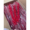 Miễn Ship Combo 20-10-5 Cành Đào Đông 12 Nhánh Quả Cao Cấp 100cm Giá Sỉ Rẻ 5