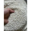 Miễn ship Gạo nếp 5kg Nhung Đồi hạt dài – Giá chỉ 115.000, ảnh và video thật
