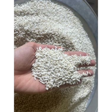 Miễn ship Gạo nếp 5kg Nhung Đồi hạt dài – Giá chỉ 115.000, ảnh và video thật 3