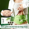 Miếng Dán Giảm Béo Ngải Cứu - Đốt Cháy Mỡ Bụng An Toàn, Dịu Nhẹ, Giá 73.445₫